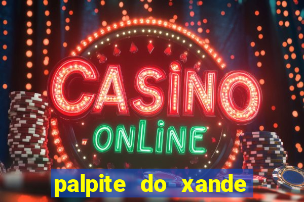 palpite do xande para hoje